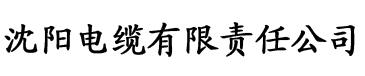 九一香蕉视频视频电缆厂logo